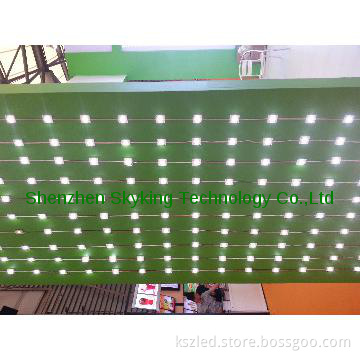 LED light box